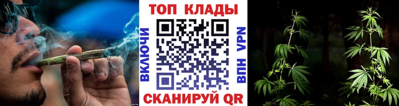 Купить закладку Саранск Гашиш  Конопля  Alpha PVP  MDMA  Меф мяу мяу 