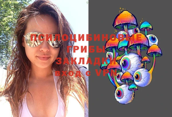 стаф Алексеевка